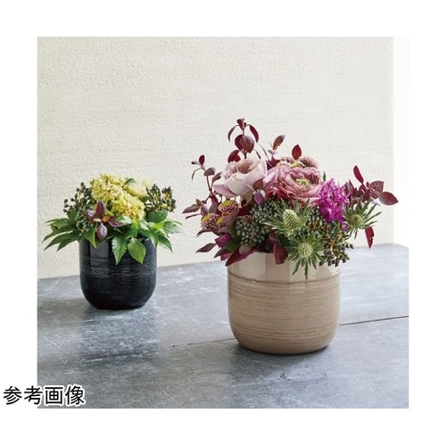 �������������i���F���e�j�u���b�N