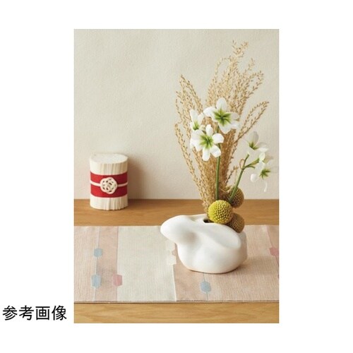 �r�g�h�q�n�@�t�r�`�f�h�i�V���E�T�M�j�z���C�g