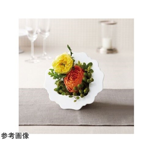 �a�����������i�r�A���J�j�z���C�g