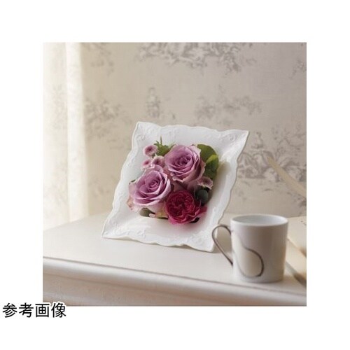 �b�����������i�N���A�j�z���C�g