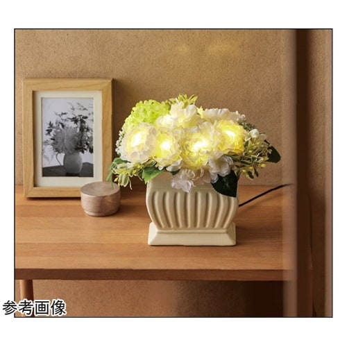 �e���������@�����@�������������������i�t���[���@�h�D�@�O���e�B�`���[�h�j�A�C�{���[