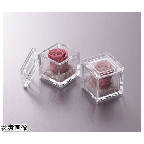 �L���[�u���b�N