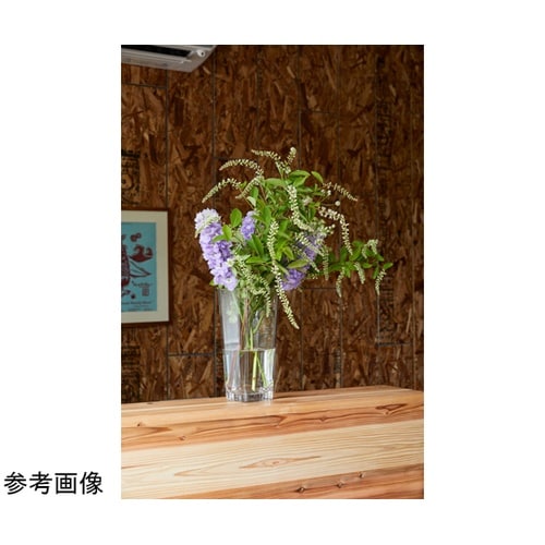 �o�b�@�s�`�o�d�q