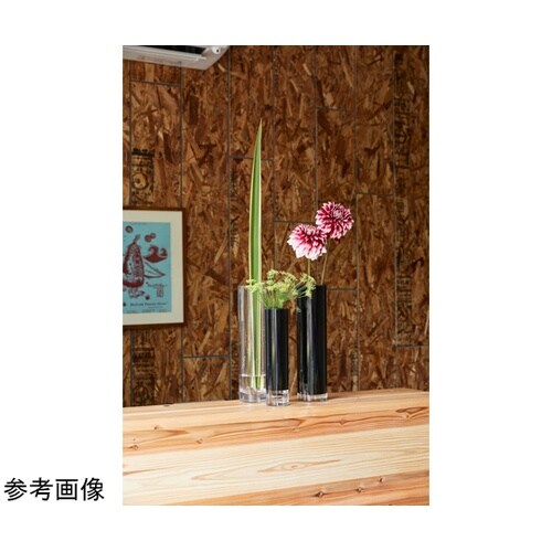 �o�b�V�����_�[