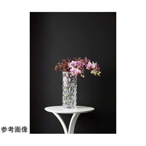 �o�b�O���b�^�[