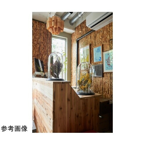 �o�b�@���������i�o�b�h�[���j�N���A