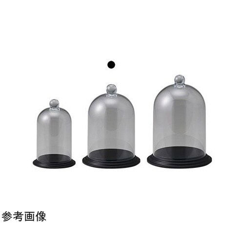 �o�b�N���b�V��