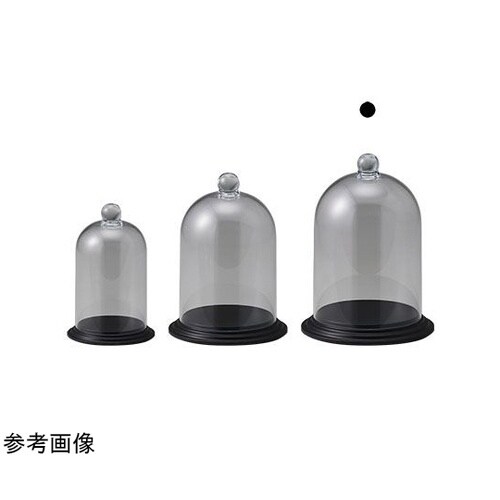 �o�b�N���b�V��