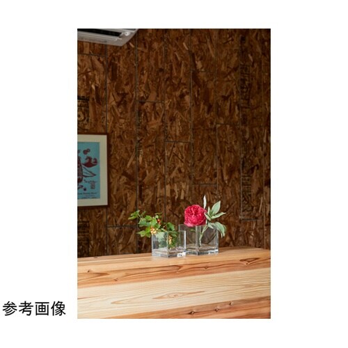 �o�b�L���[�u