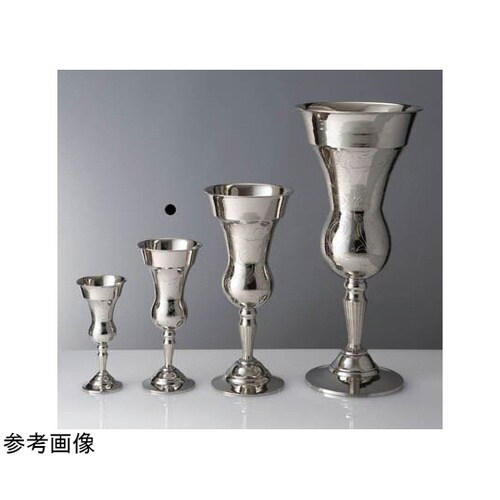 �S�[���f�����V�I