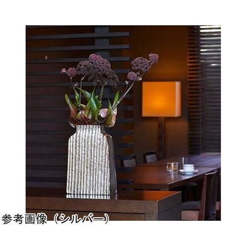 �A���~�j�E���J�X�P�[�h