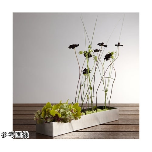 �X�e�����X�x�[�V�b�N�X