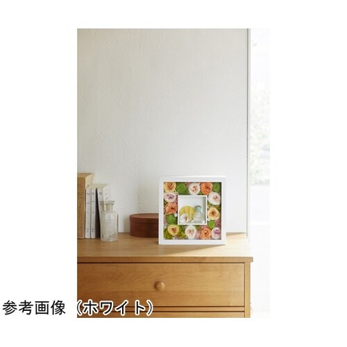 �{�b�N�X�t���[���_�u��