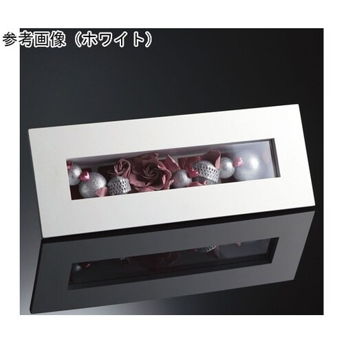 �t���[���E�B�Y�W���P�b�g