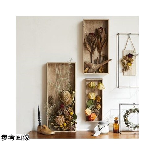 �V���r�[�E�b�h�t���[��