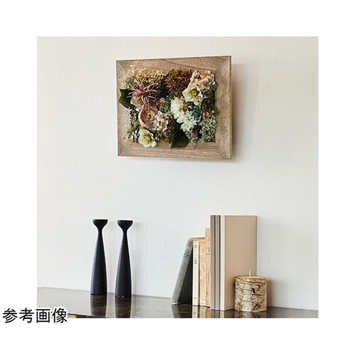 �V���r�[�E�b�h�t���[��