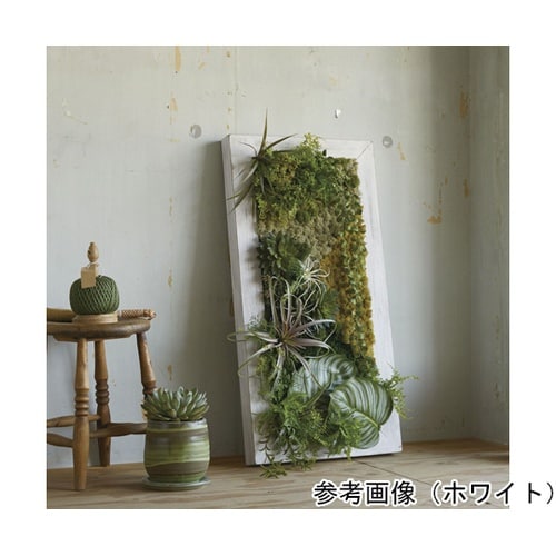 �i�`�������E�b�h�t���[��