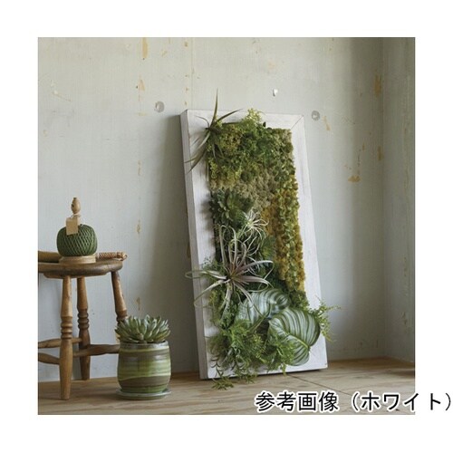 �i�`�������E�b�h�t���[��