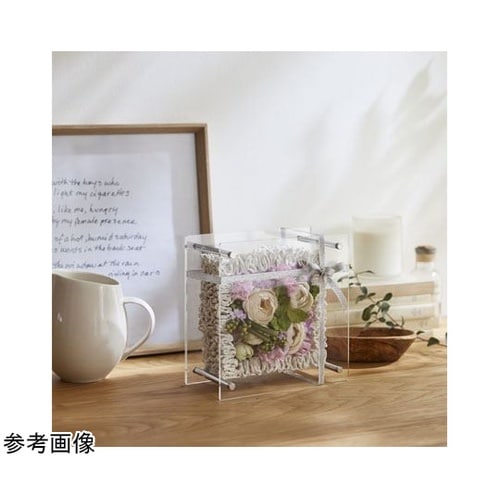 �`�����������i�G�A���A���j�N���A