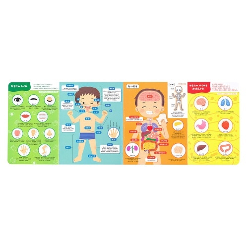 �Ղɂ҂��V�[��������