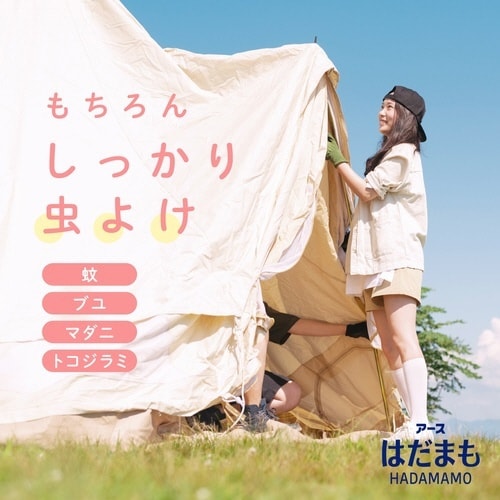 はだまも ミスト