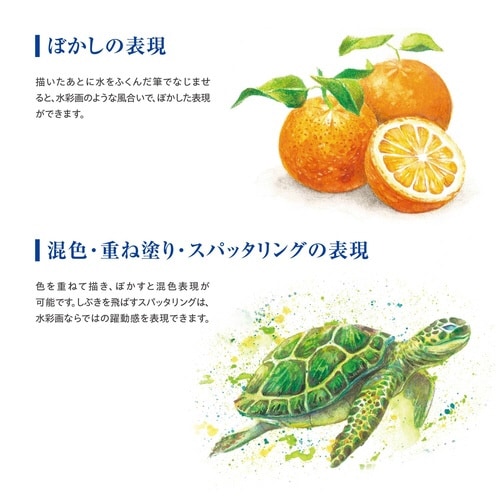 アートライン 水彩色鉛筆
