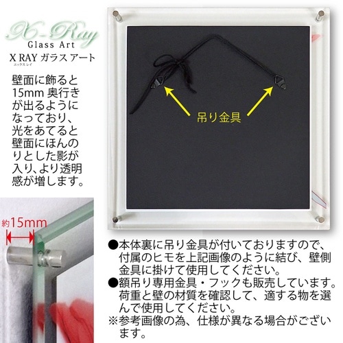 Xrayガラスアート