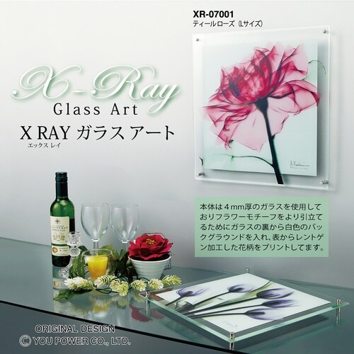 Xrayガラスアート