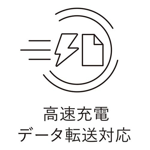 ライトニングケーブル