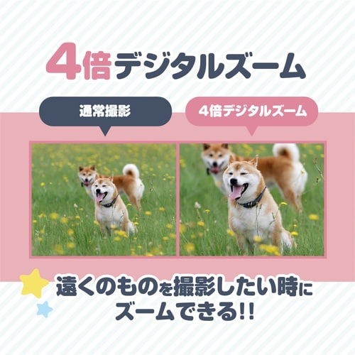 �L�b�Y�J����