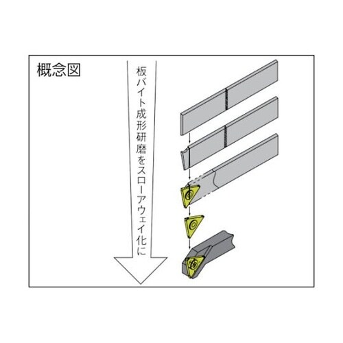 パラチップ