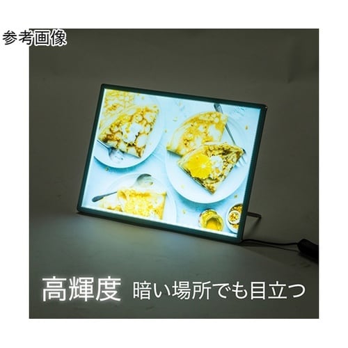 �E���g���X�������C�g�p�l��