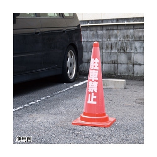 �J���t���R�[���p�����J�o�[