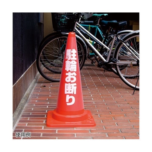�J���t���R�[���p�����J�o�[