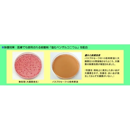 バスプロセーフ