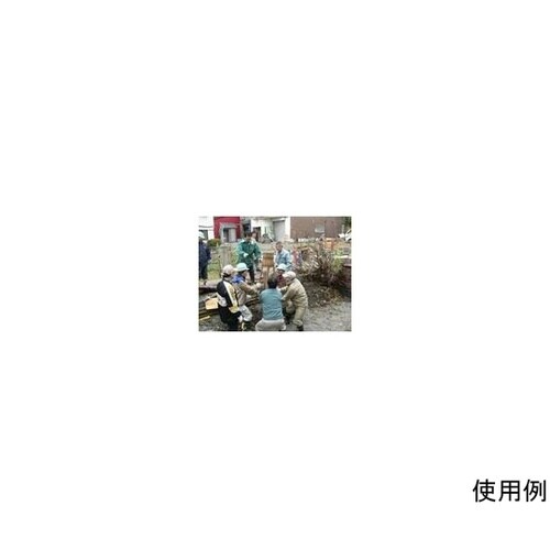タコ 4ツ手