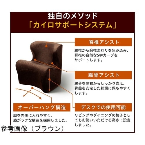 スタイルドクターチェア