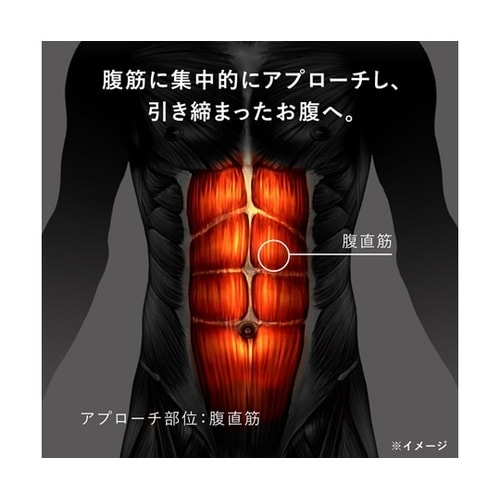 SIXPAD Powersuit Abs