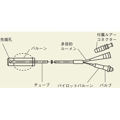 内視鏡装着用多目的バルーン