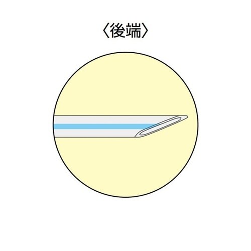 ソラシックカテーテル