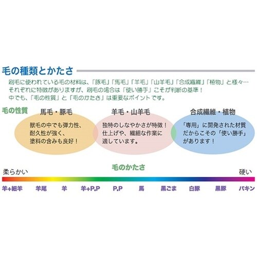 並ニス刷毛 12本入