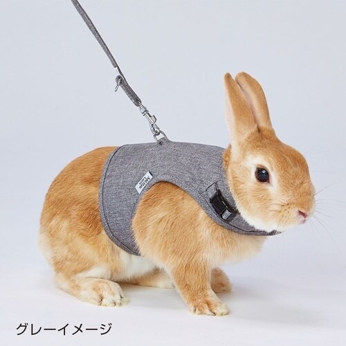 ラパン ウォークハーネス