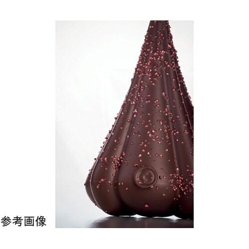 3Dチョコレートモールド クリスマス