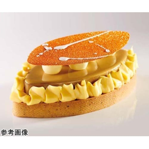 パンチングタルトリング