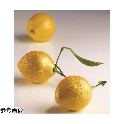 シリコン型 パボデュオ
