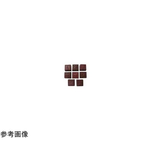 PCチョコレートモールド