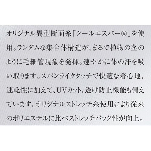 ジャケット 6 ティグリーン