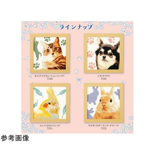 �N���X�X�e�b�`�^�h���イ�L�b�g�@���킢���A�j�}��