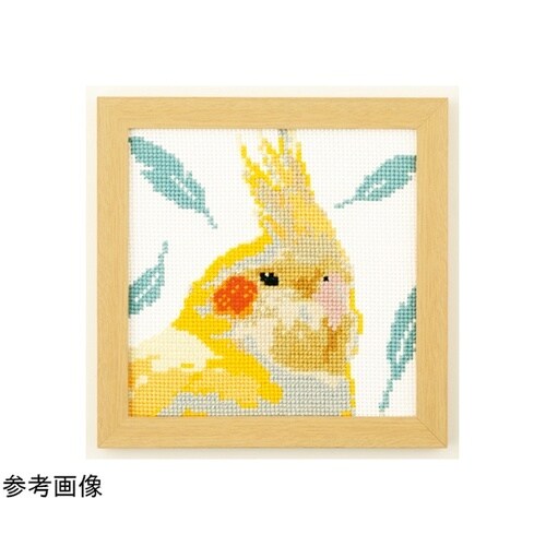 �N���X�X�e�b�`�^�h���イ�L�b�g�@���킢���A�j�}��