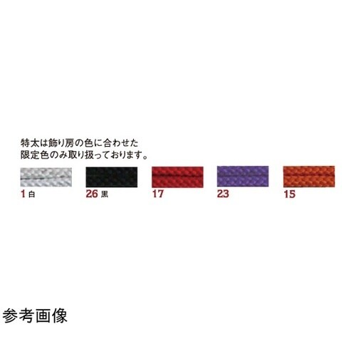 江戸打ち紐 特太 10m巻き